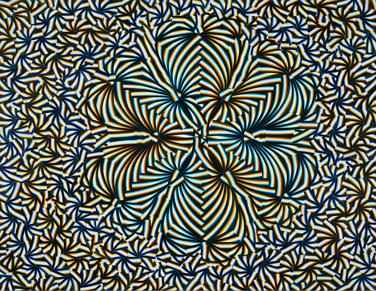 EP158, 2022 &ndash; 96 x 125 cm; Öl auf Aluminium; Foto: Annette Kradisch