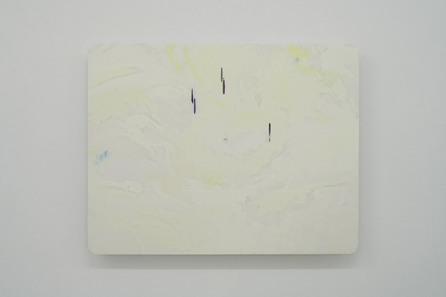 00-223 w, 2023 &ndash; 60,5x78x4,5 cm; Öl/Acrylglas,Aluminiumschichtplatte; Foto: Annette Kradisch