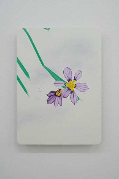 si-0523-0, 2023 &ndash; 74x54x4,5 cm; Öl/Aluminiumschichtplatte; Foto: Annette Kradisch