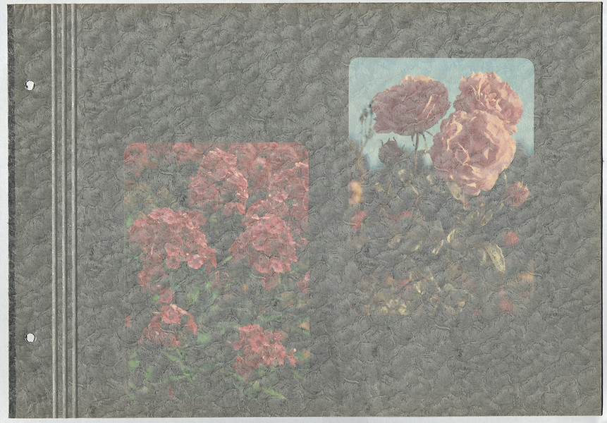 aus „Schneewittchen“ Blatt 9 von 24, 2007 &ndash; 22,7 x 32,6 cm; Karton, Offset-laminiert, Pergamin; Foto: Annette Kradisch