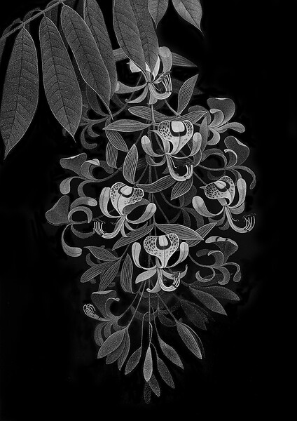 Amherstia nobilis (Hommage an Vishnu Persaud), 2019 &ndash; 180 x 126 cm; Unikatdruck