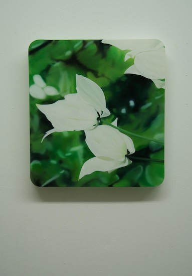 Christian Faul, 32006 b-bh, 2006 &ndash; 50,5 x 46,5 x 5 cm, Öl, Acrylglas