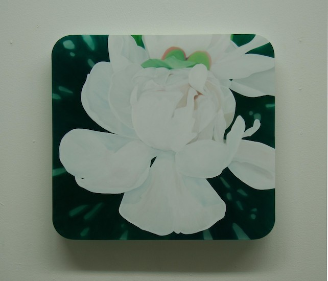 Christian Faul, 62006 b-pä, 2006 &ndash; 40 x 45 x 5cm, Öl auf Acrylglas