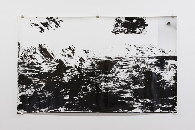 Alexandra Leykauf, cliché verre II, 2017 &ndash; 108 x 178 cm; Baryt Handabzug