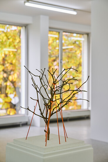 Ausstellungsansicht (Foto: Annette Kradisch)