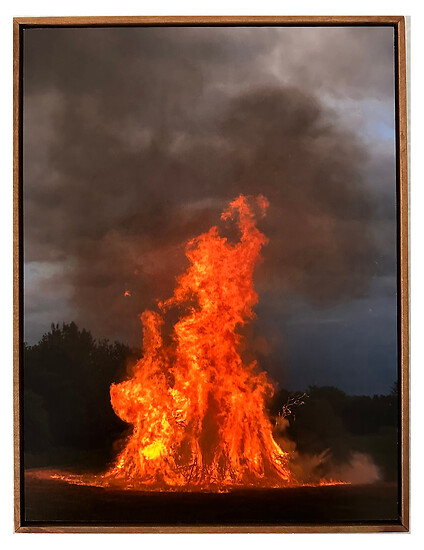 o. T., Johannisfeuer, Ast (aus der Werkserie Naturkunde Neu), (Ed. 2/9), 2024 &ndash; 41 x 31 cm; Archival Pigment Print
