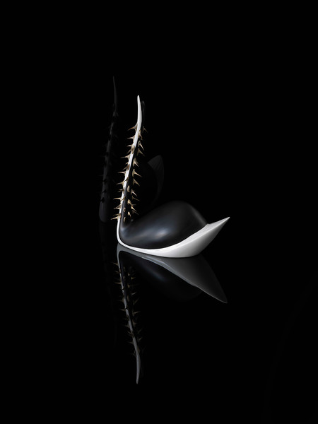 Stagebeauty 11, 2011 &ndash; Ed. 3; 84 x 63 x 4 cm; Inkjet Pigment Druck auf Papier; gerahmt