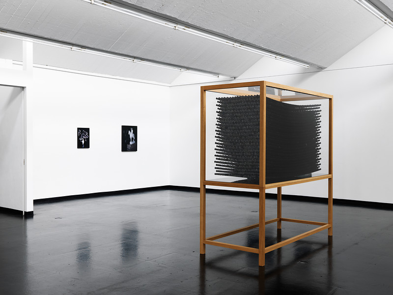 Pracht, 2014 &ndash; 210 x 90 x 210 cm; Eiche, Acrylglas, Stahlfäden, Pailletten, Stiftperlen, Edelstahlseil