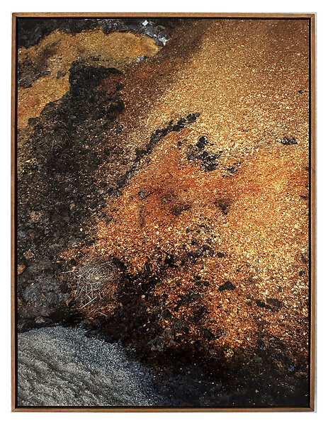 o. T., Sägespäne, Hiltenbach aus der Werkserie Naturkunde Neu  (Ed. 2/7), 2024 &ndash; 54 x 41 cm; Archival Pigment Print