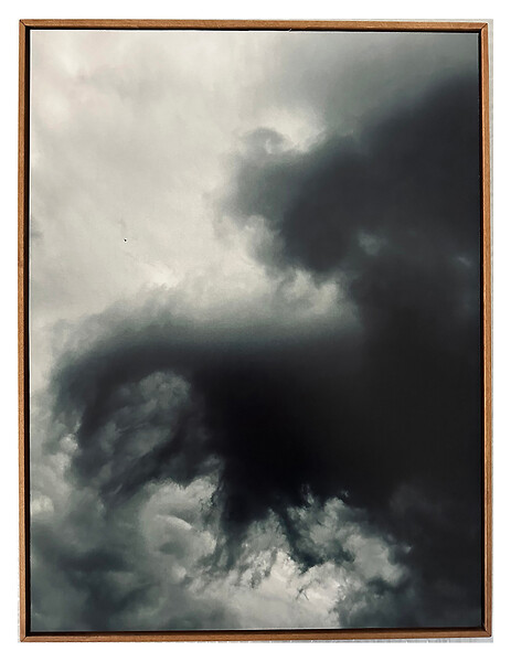 o. T., Wolken, Löweneck aus der Werkserie Naturkunde Neu  (Ed. 2/7), 2024 &ndash; 54 x 41 cm; Archival Pigment Print
