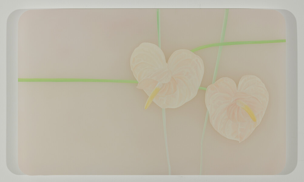 82009 b-at, 2009 &ndash; 62 x 100 x 5 cm; Öl/Acrylglas