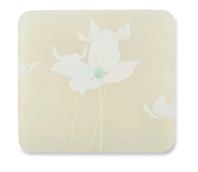 42008 b-bh, 2008 &ndash; 58 x 64 x 5 cm; Öl/Acrylglas