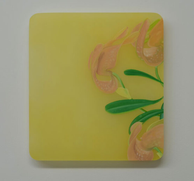 22012 b-ol, 2012 &ndash; 50,5 x 46 x 5 cm; Öl/Acrylglas